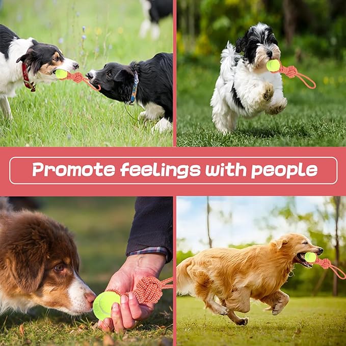Dog Rope Toy for Medium and Small Dogs Interactive Puppy Toys Tug of War Rope Tether Tug Outdoor Dog Toy 1 Knot Puppy Teething Chew Cotton with Tennis Ball