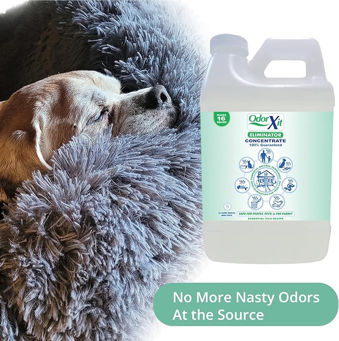 Concentrated Pet Urine Odor Eliminator, Ideal for Cat, Dog Poo and Urine Smell, Versatile & Natural Odor Neutralizer for Home and Outdoor Use, Deodorizer & Absorber, Concentrate, 64oz