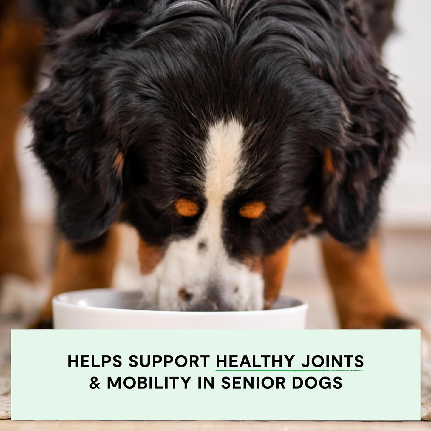 Open Farm, Grain-Free Dry Dog Food for Senior Dogs, Complete & Balanced Kibble to Support Joints & Mobility, Sustainably & Ethically Sourced Ingredients, Chicken & Turkey Recipe for Seniors, 22lb Bag