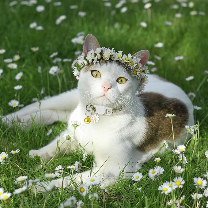 4 Pack Cotton Breakaway Cat Collar with Bell & Flowers Pendant,Cute Pet Kitten Collar for Girl Boy Cats,Pet Supplies,Stuff,Accessories,Gifts