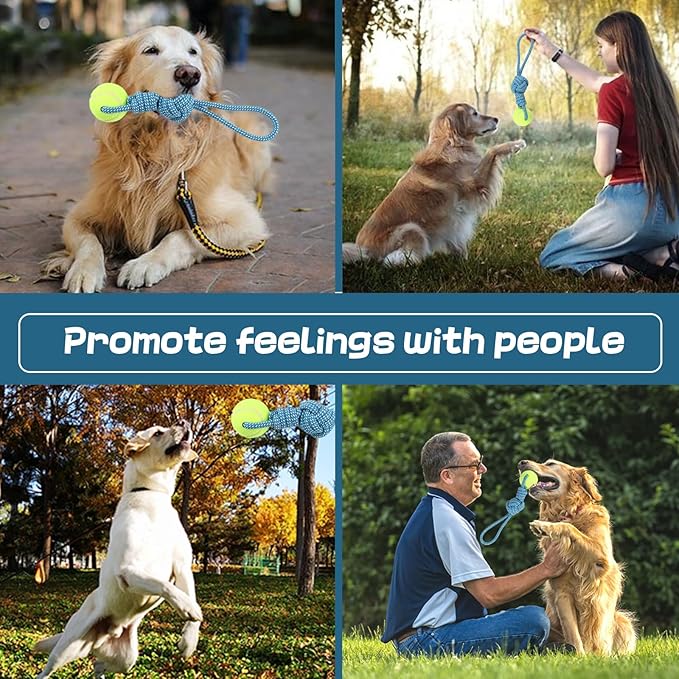 Dog Rope Toy for Medium and Small Dogs Interactive Puppy Toys Tug of War Rope Tether Tug Outdoor Dog Toy 1 Knot Puppy Teething Chew Cotton with Tennis Ball
