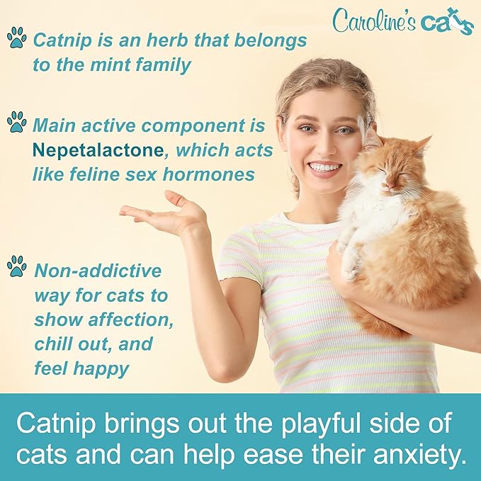 Caroline's Cats Organic Catnip Packets for Cat Toys 2.0 – More Potent Refill Pouches for Flapping Bird, Flopping Fish, and Others, 10 Tea Bags