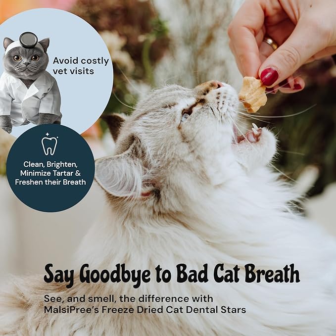 MalsiPree Cat Dental Treats - Chicken Base, 32-Count - Freeze Dried Cat Treats & Dental Chews - Freshens Breath & Minimizes Tartar - Anti-Choke Star Shape - Natural Lysozyme