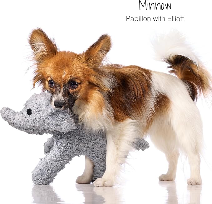 Plush Durable Cotton Dog Toys with Coconut Fill for All Pet Breeds, Elephant, One Size