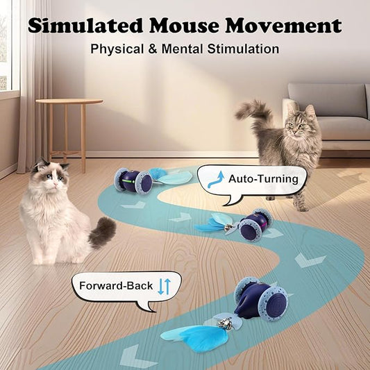 Interactive Cat Mouse Toy, Indoor Kitten Toys, Automatic Cat Wheel, Rechargeable