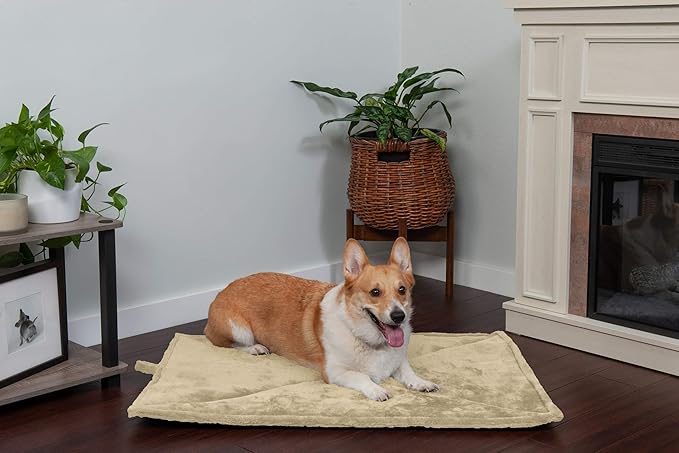 Furhaven ThermaNAP Self-Warming Cat Bed for Indoor Cats & Small Dogs, Washable & Reflects Body Heat - Quilted Faux Fur Reflective Bed Mat - Cream, Small