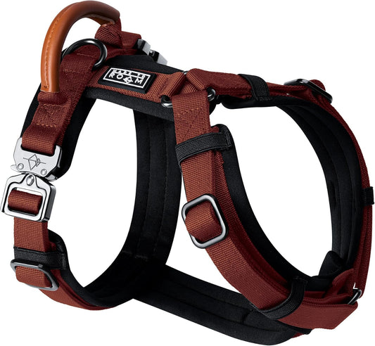 MADE TO ROAM Premium Explorer Harness - Y-Shaped Dog Harness with Adjustable Durable Nylon, Soft Padding, Metal Buckles and Leather Handle for Small, Medium, Large Dogs (Arizona Heartbeat, Size 6)