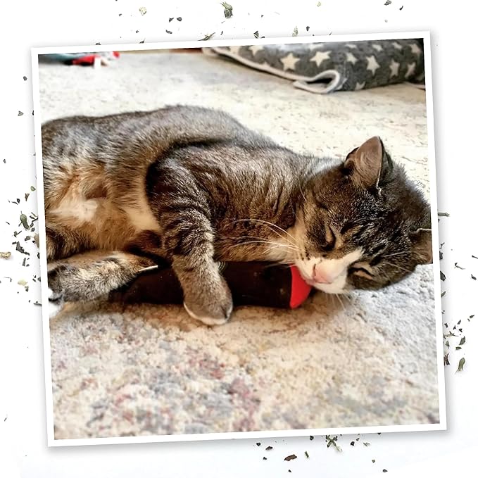 Meowijuana | Catnip Filled Cigar Toy | Promotes Play and Cat Health | Includes Organic Catnip Grown in North America | Feline and Cat Lover Approved