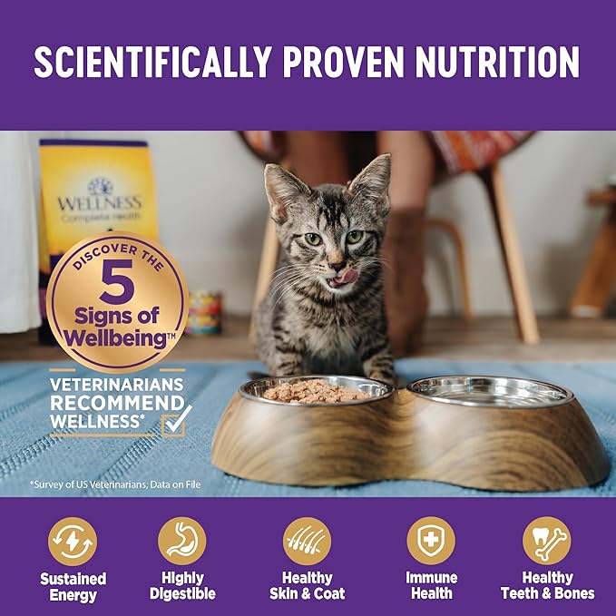 Wellness Complete Health Gravy Adult Wet Cat Food, Natural, Protein-Rich, Grain Free, 5.5 Ounce, 12 Pack, (Chicken & Tuna Dinner)