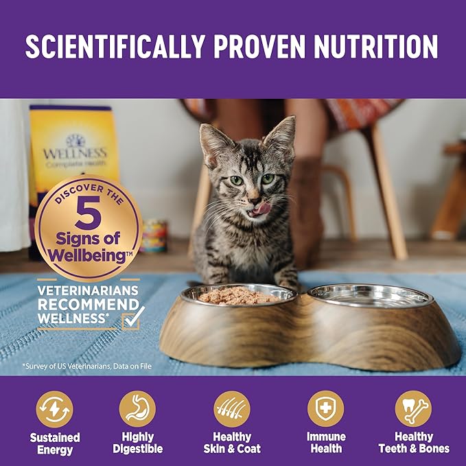 Wellness Complete Health Pate Adult Wet Cat Food, Natural, Protein-Rich, Grain Free, 5.5 Ounce, 24 Pack, (Chicken & Herring)