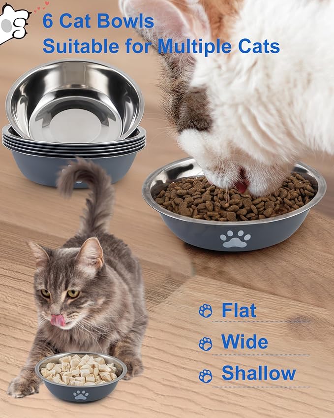 6 PCS Stainless Steel Cat Bowls, Non-Slip Stainless Cat Food Bowl Metal Cats Dishes Whisker Fatigue Kitten Plates Shallow Wide Kitten Bowls, 5.5” Whisker Friendly Food Dish (Grey 6 PCS)