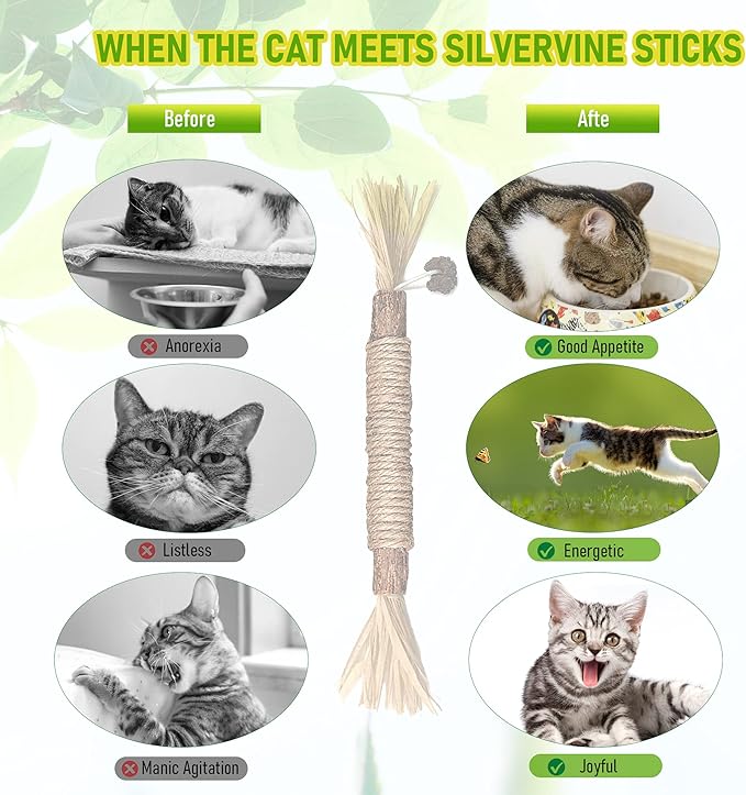 BAWAN Catnip Toys‖ Silvervine for Cats: Cute Cat & Kitten Toys for Indoor Cats Interactive‖ Cat & Kitten Teething Chew Toys for Aggressive Chewers‖ Silvervine Sticks Cat Dental Toy (3PCS)