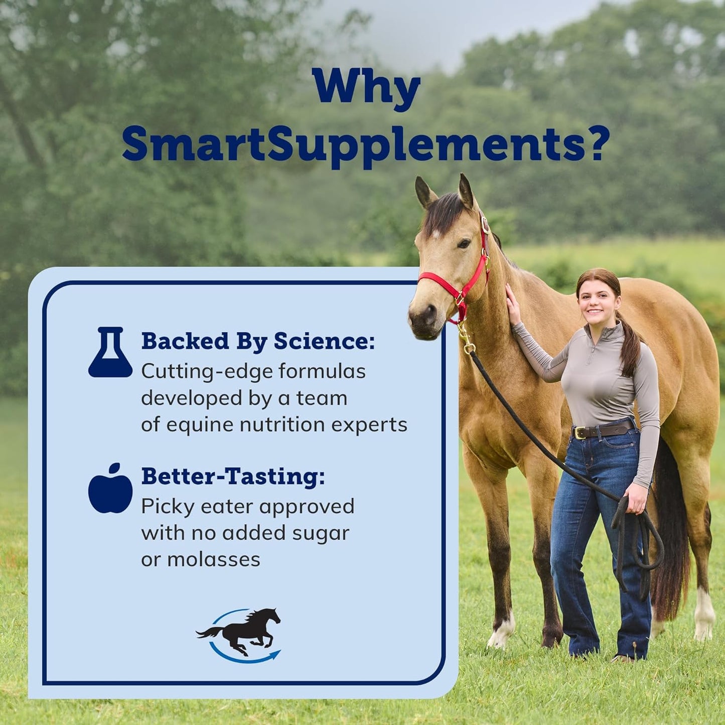 SmartEquine SmartCookies | Healthy Treats for Horses Made from Coconut Meal, Beet Pulp, Alfalfa, and Flaxseed Oil | No Sugar Added Horse Treats | Banana Bread Flavor Cookies for Horses, 3 lb Bag