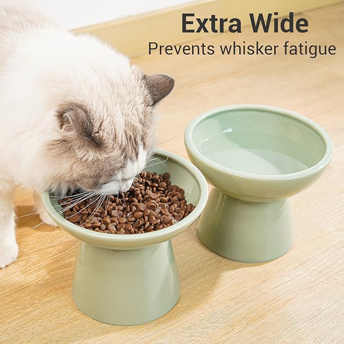 Extra Wide Elevated Ceramic Cat Water Bowl - 6.2" Deeper Dish for Whisker Fatigue Relief, 5" Height for Easy Feeding, Lead & Cadmium Free, Durable Raised Cat Bowls, Green