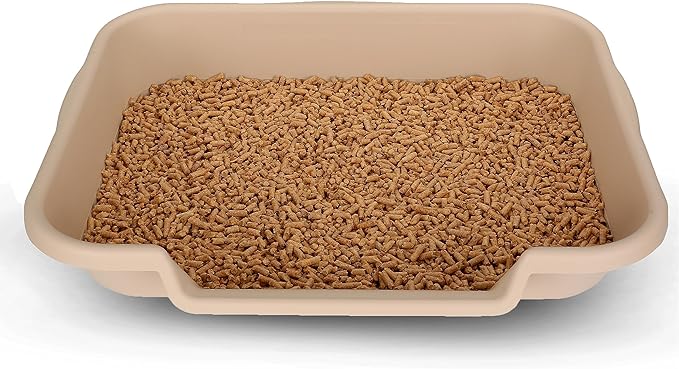 KittyGoHere Senior Cat Litter Box 1 Pack, Large Beach Sand Low Entrance Kitty Litter Box, Sized for Cats Comfort, Perfect for Senior and Arthritic Cats, Made in USA