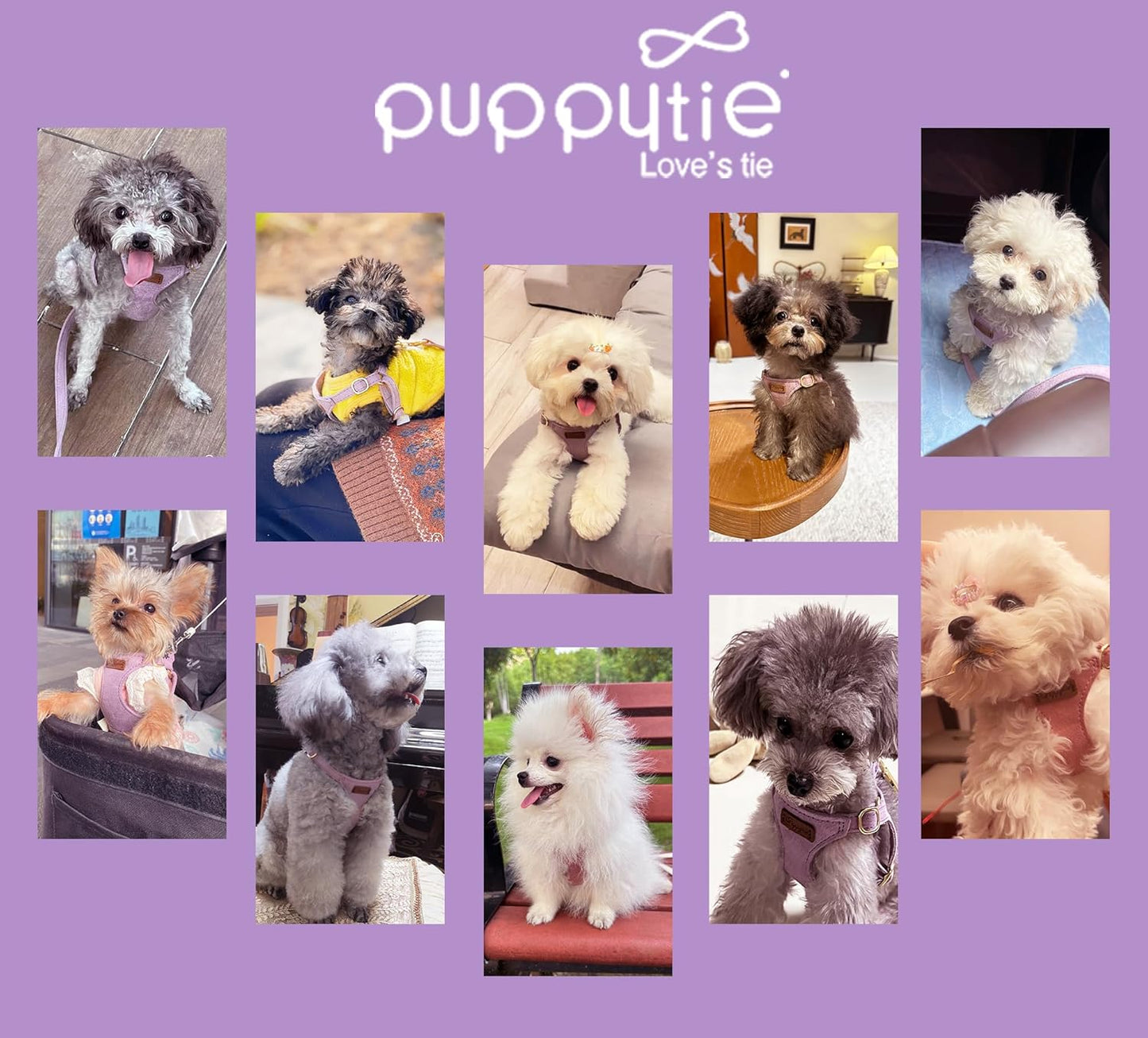 Puppytie No Pull Dog Harness with Multifunction Dog Leash,Soft Adjustable No Choke Escape Proof Pet Harness Vest for Medium Dogs or Large Dogs,Light Purple,M