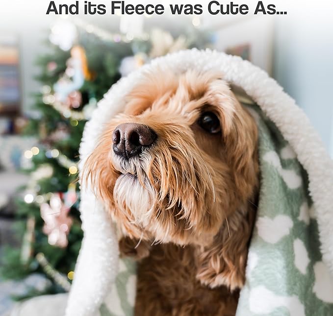 Cat Blanket for Indoor Cats – 29" Soft Sherpa Fleece Pet Throw, Washable Reversible Dog Blanket for Small Dogs, Cats, Kittens, Couch Bed Sofa Car Protector – Grey