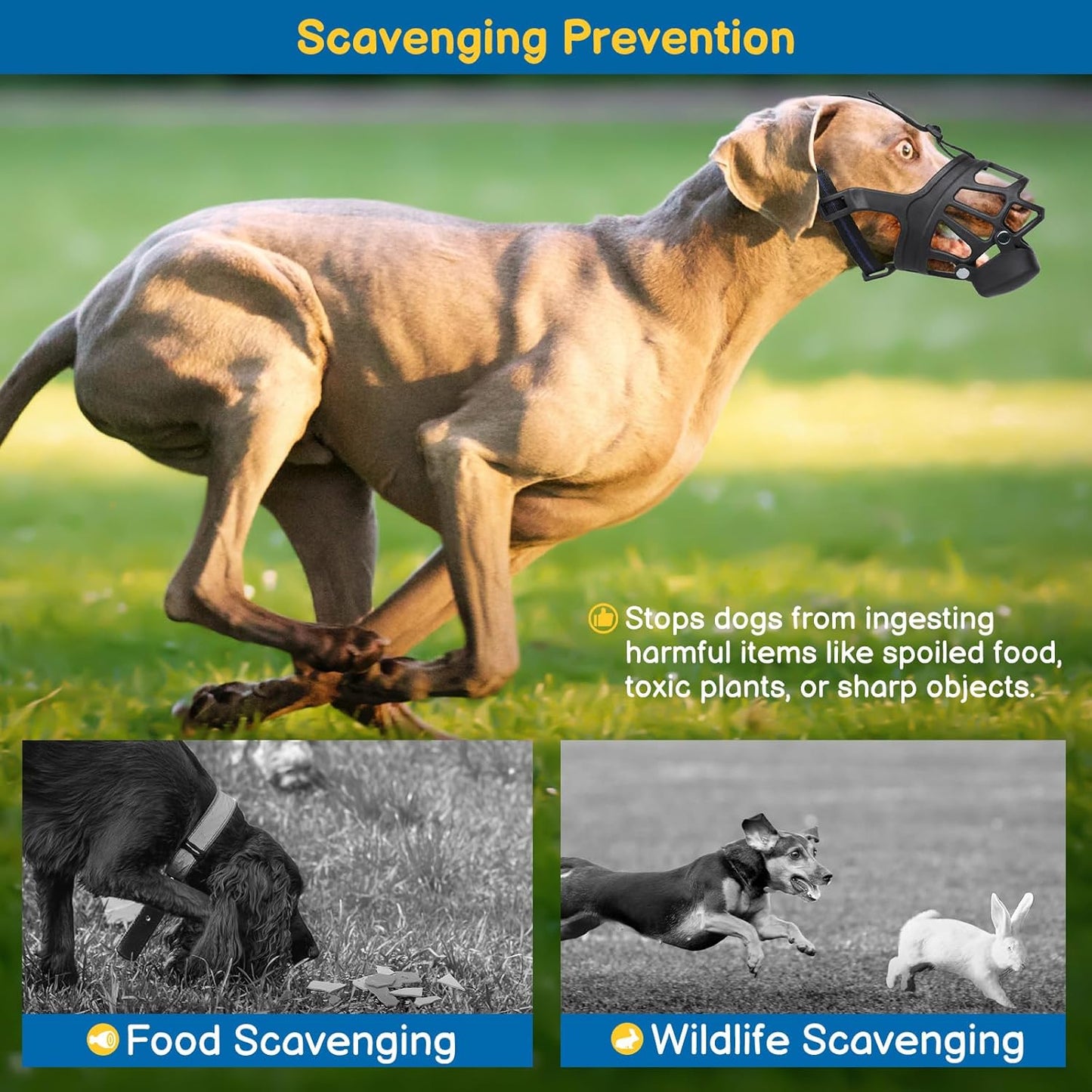 BARKLESS Basket Muzzle for Medium Dogs, Humane Muzzle to Prevent Biting and Scavenging, Snap-on Treat Cover Helps Dogs Acclimatize Mouth Cover, Adjustable Mouth Guard for Positive Training, Grooming