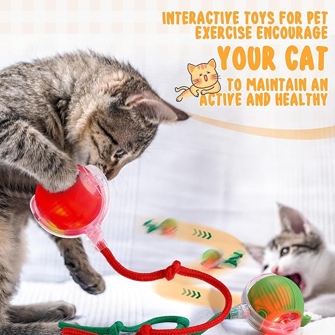 6 Pack Interactive Cat Ball Toy 360° Automatic New Interactive Rolling Ball 2025 Rechargeable for Indoor Cat Dog Exercise Electric Self Rolling Toy for Large and Small Puppy Kitten