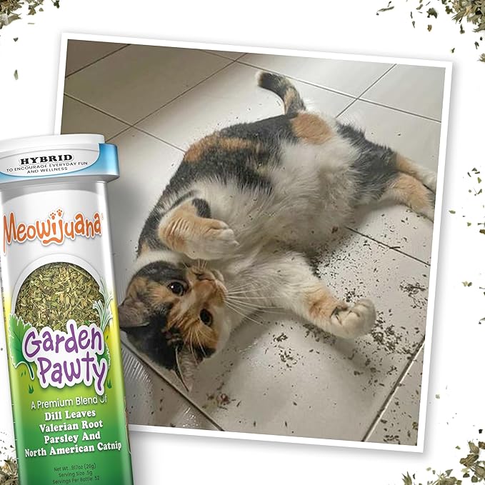 Meowijuana Lady Bug Bundle | Get Sprung Refillable Lady Bug Toy and Garden Pawty Catnip Blend | Promotes Play and Cat Health | Includes North American Organic Catnip