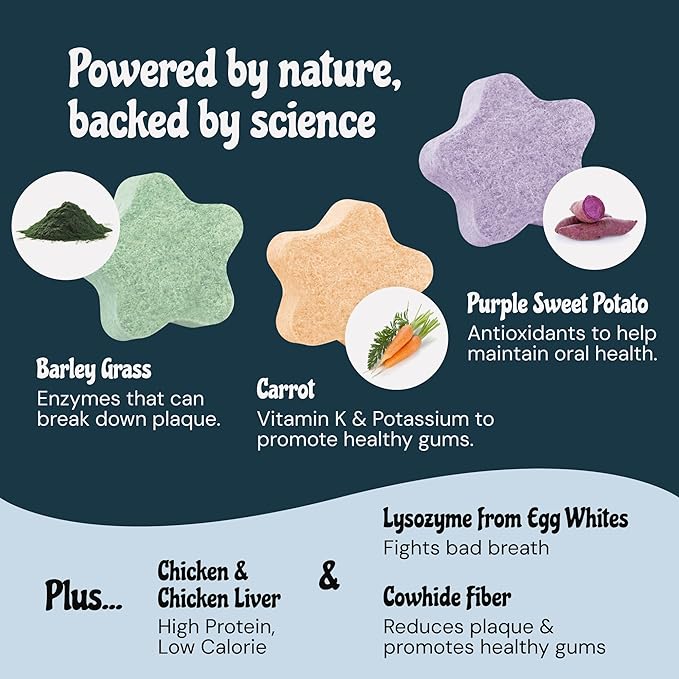 MalsiPree Cat Dental Treats - Chicken Base, 32-Count - Freeze Dried Cat Treats & Dental Chews - Freshens Breath & Minimizes Tartar - Anti-Choke Star Shape - Natural Lysozyme