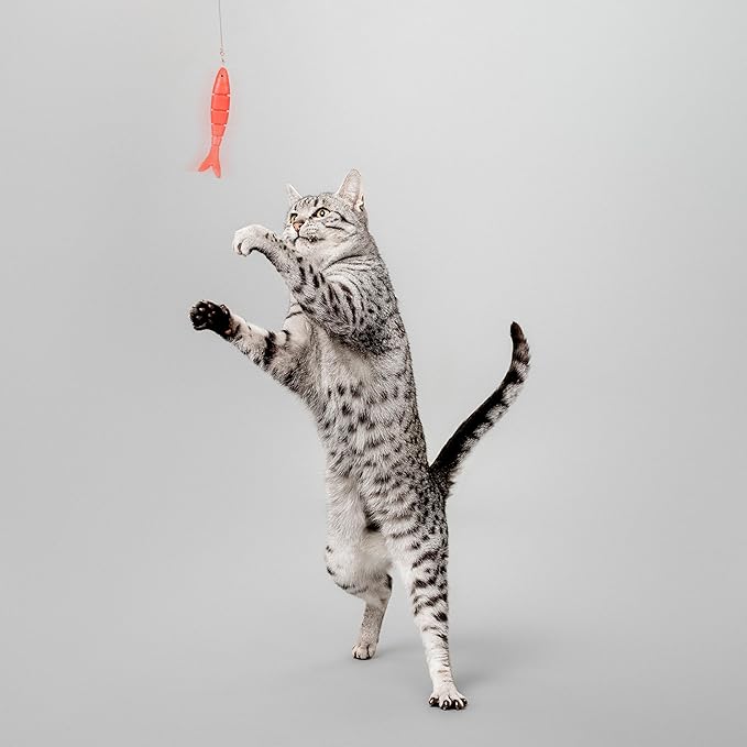 Playology Cat Toy Snake and Fish Teaser | Interactive Toy with Jingle Bells and Interchangeable Lures That Supports Active Play | Perfect for Active Indoor Cats