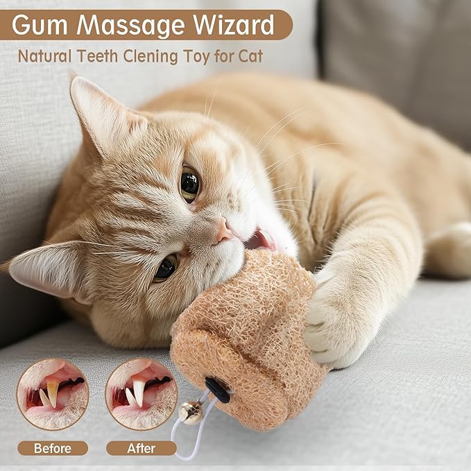 Natural Loofah Replacement Cat Toy Wand Refills, Cat Chew Toy-Handmade Gum Massage Teether w/Catnip,Teeth Cleaning Toys for Aggressive Chewers,Safe Kitten Bite Relief & Stress Relief, 2 Pack