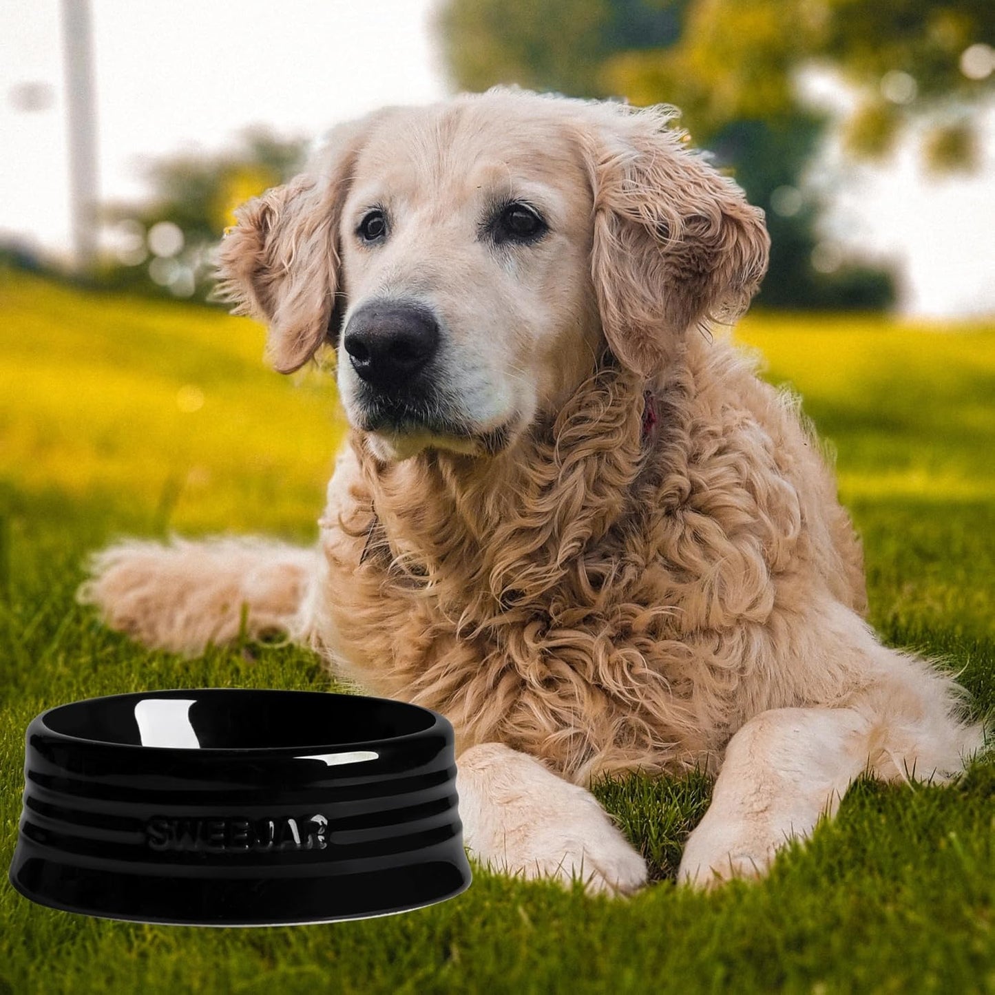 Sweejar Gradient Dog Bowl, Ceramic Dog Food Dish for Large Dogs and Large Cat, Porcelain Pet Bowl for Food and Water 32 oz (Black)