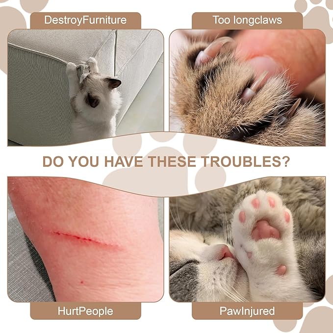 Cat Toy Magic Organ Cat Scratching Board,Cat Scratching Board Compatible with Kitty Kurlz, Brain and Physical Training Activities Suitable for Indoor Cats Toy (1 Pcs)