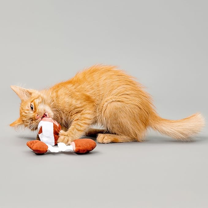 Interactive Cat Toy for Indoor Cats | Catnip Cat Toy | Fish Puzzle