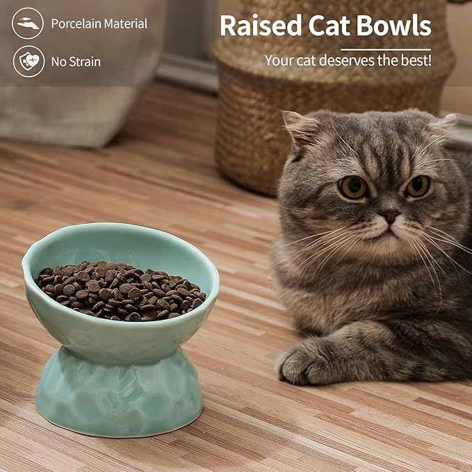 OMAYKEY Ceramic Raised Cat Bowls, Tilted Elevated Cat Food and Water Bowl Set, Porcelain Stress Free Pet Feeder Dish for Cats and Small Dogs, Dishwasher and Microwave Safe,Green, Set of 2