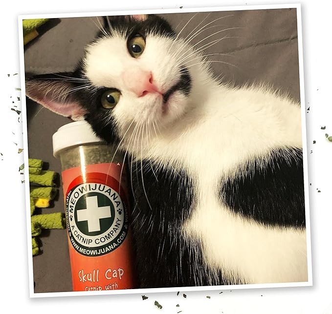 Meowijuana Jump 'n' Jamb Door Hanging Cat Toy | Sloth | Refillable Interactive Catnip Toy | Promotes Play and Cat Health | Includes Potent Catnip Grown in North America