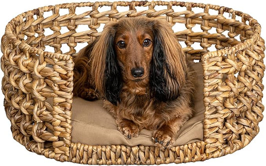 DBD4000A Gigi 24" x 18" Modern Bohemian Handwoven Hyacinth Open-Weave Oval Pet Bed with Machine-Washable Cushion, Natural