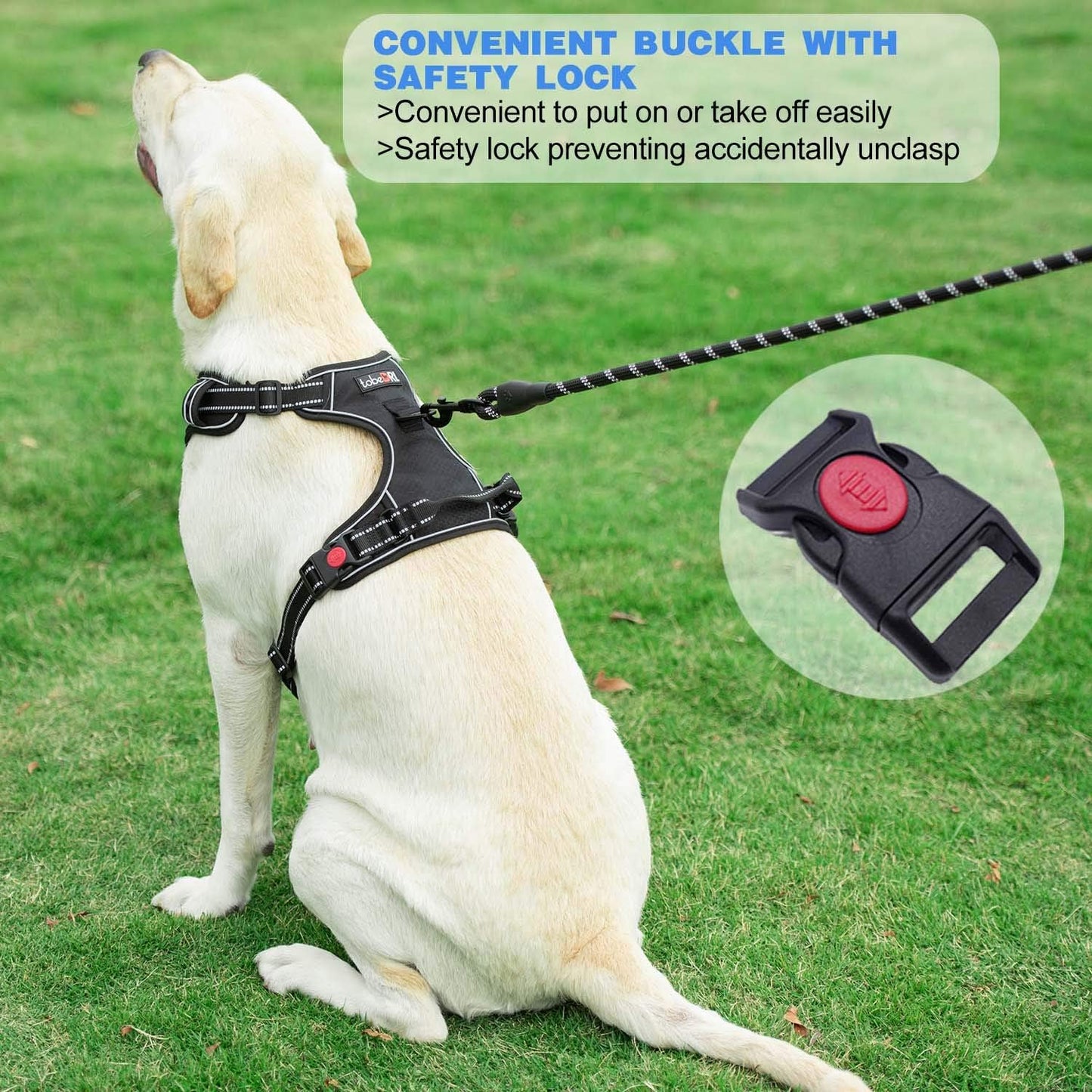 No Pull Dog Harness Adjustable Reflective Oxford Easy Control Medium Large Dog Harness with A Free Heavy Duty 5ft Dog Leash (L (Chest: 25.5"-31"), Orange Harness+Leash)