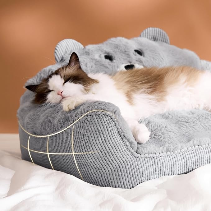 LE SURE Cute Cat Couch for Pets - Fluffy Original Bear Design Cat Beds for Indoor Cats, Fuzzy Cats Sofa with Removable Washable Cover, Supportive Pet Chair, 24inch, Pastel Grey