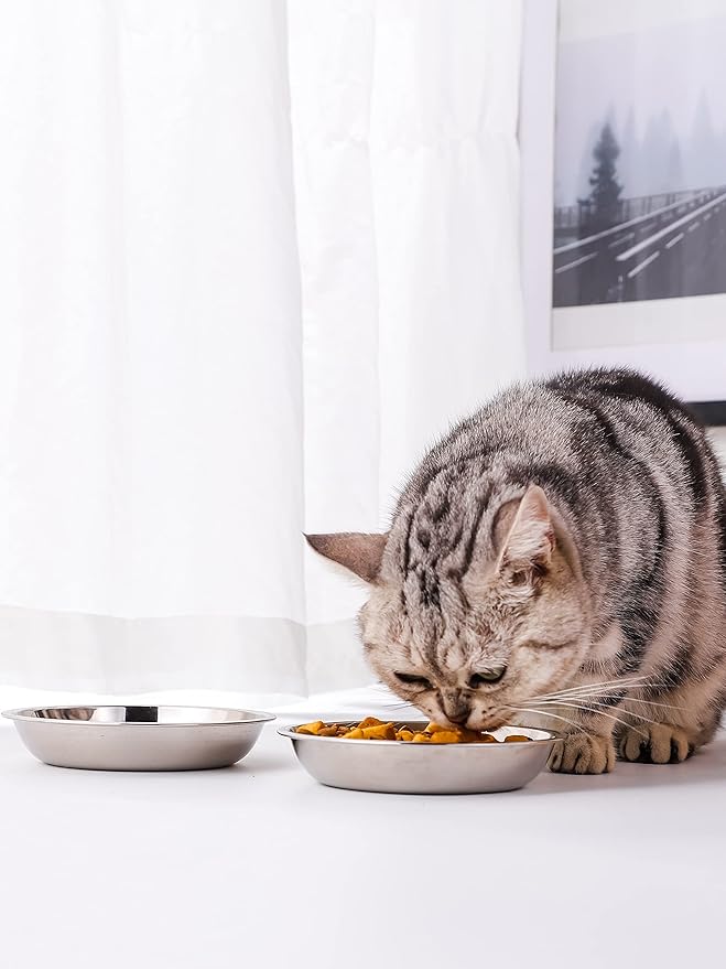 VENTION Stainless Steel Cat Bowls, Whisker Fatigue Cat Bowl, Metal Cat Dishes, Shallow Cat Food Dish