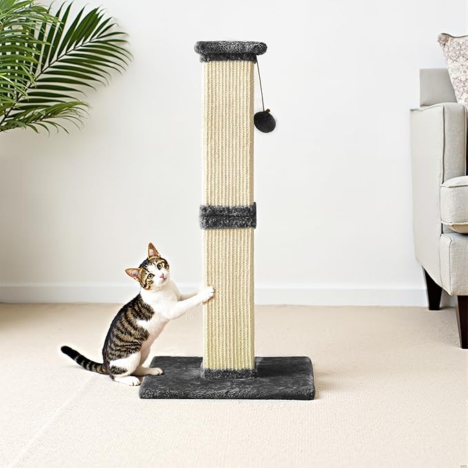 Cat Scratching Post with Hanging Toy Ball, 32-Inch Tall Sisal Cat Scratcher for Indoor Cats, Grey