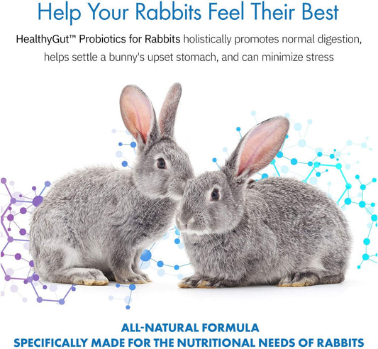 HealthyGut™ Probiotics for Rabbits Dietary Supplement, All-Natural Digestive System Formula (600 Servings)