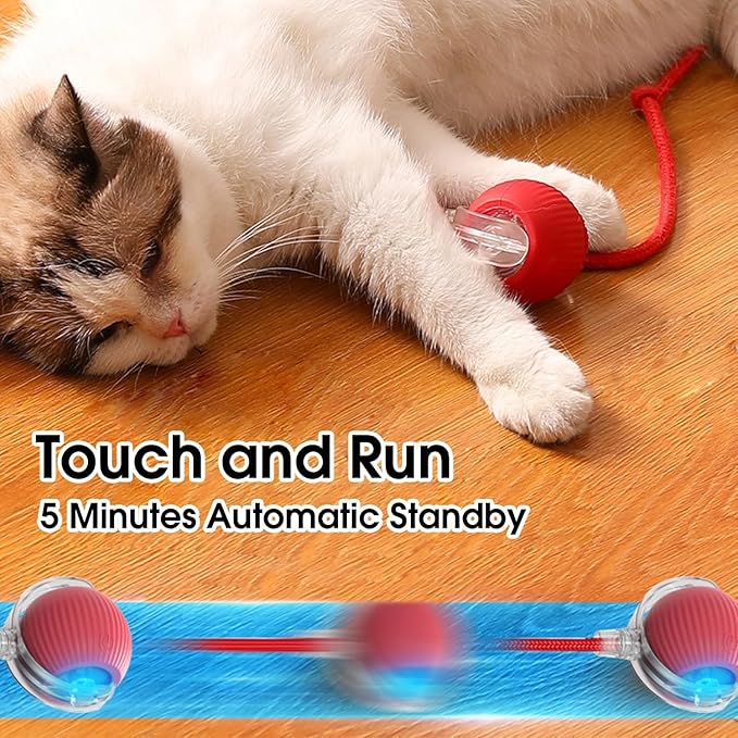 Interactive Dog & Cat Electric Active Toys - Smart Rolling Ball for Dogs & Cats, Rechargeable (Red)
