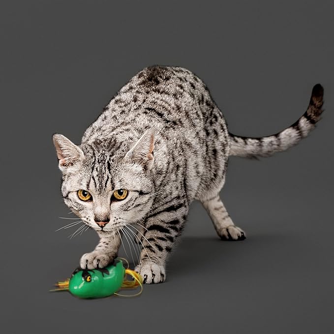 Playology Dangly Leg Frog Toy for Cats | All-Natural Scent and Silicone Strings for Engaging Play | Catnip Infused for Endless Fun