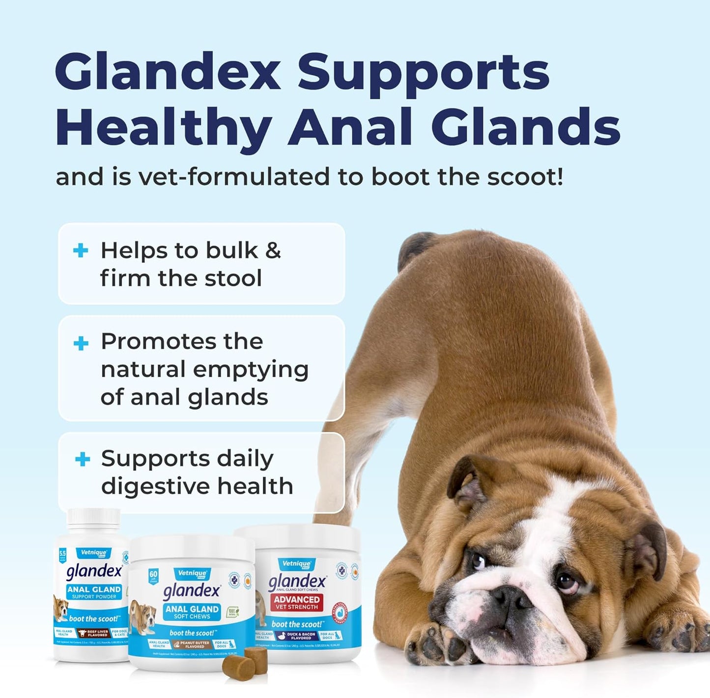 Vetnique Labs Glandex Anal Gland Soft Chew Treats with Pumpkin for Dogs Digestive Enzymes, Probiotics Fiber Supplement for Dogs Boot The Scoot (Peanut Butter Chews, 30 Count)
