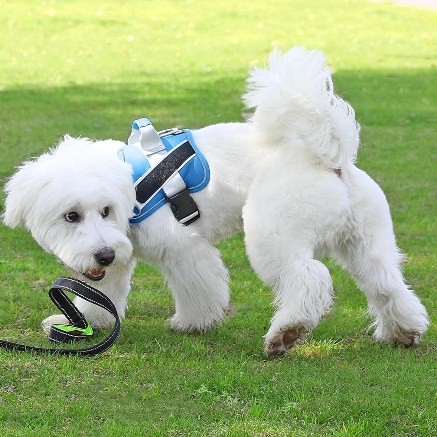 Bolux Dog Harness, No-Pull Reflective Dog Vest, Breathable Adjustable Pet Harness with Handle for Outdoor Walking - No More Pulling, Tugging or Choking