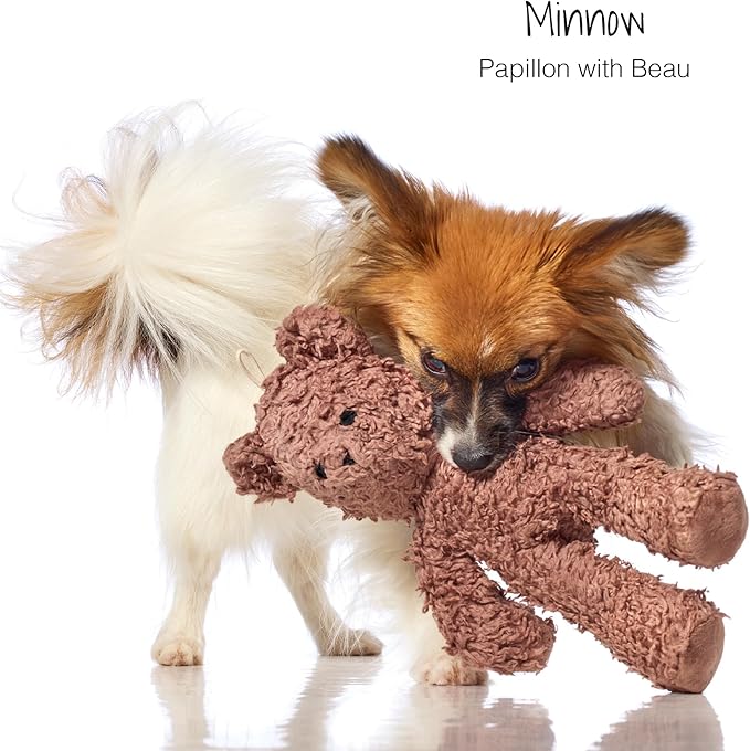 Plush Durable Cotton Dog Toys with Coconut Fill for All Pet Breeds, Bear, One Size