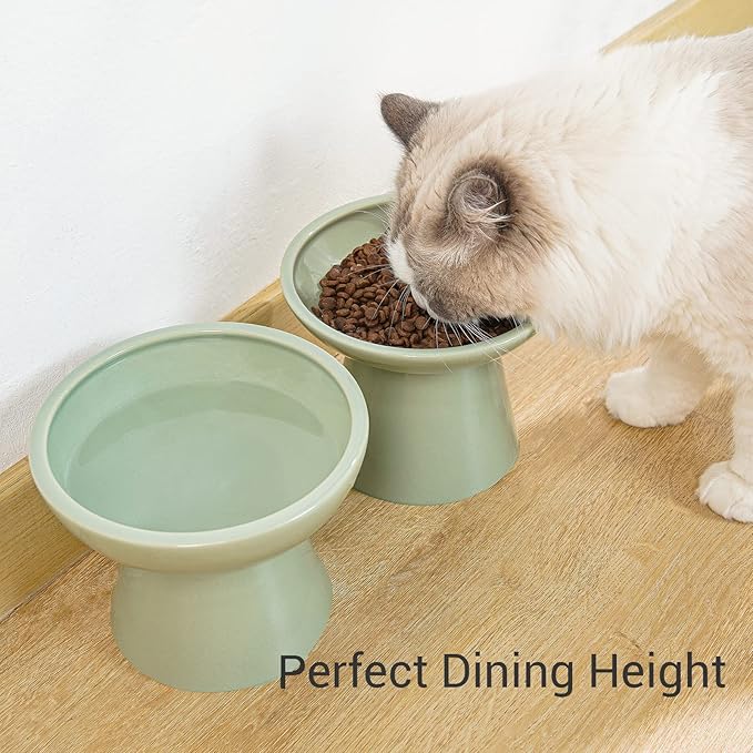 Extra Wide Elevated Ceramic Cat Water Bowl - 6.2" Deeper Dish for Whisker Fatigue Relief, 5" Height for Easy Feeding, Lead & Cadmium Free, Durable Raised Cat Bowls, Green