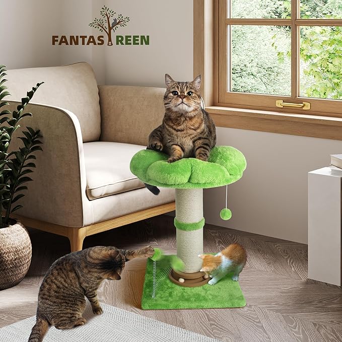 Fantasreen Cat Scratching Post Cat Scratcher Tall Scratching Posts for Indoor Cats with Cat Toy and Interactive Ball Self Groomer for Kittens Adults Cats (Green)