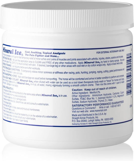 Mineral Ice Therapeutic Pain Reliever for Horses 16 Ounce