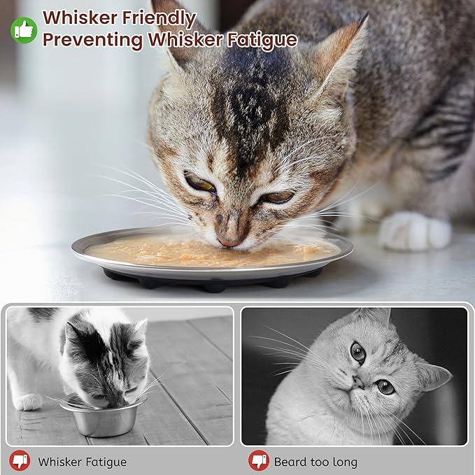 Cat Food Bowls, 6.7" Stainless Steel Whisker Fatigue Cat Plates with Non-Slip Silicone Base, Shallow Kitten Dishes for Wet & Dry Food
