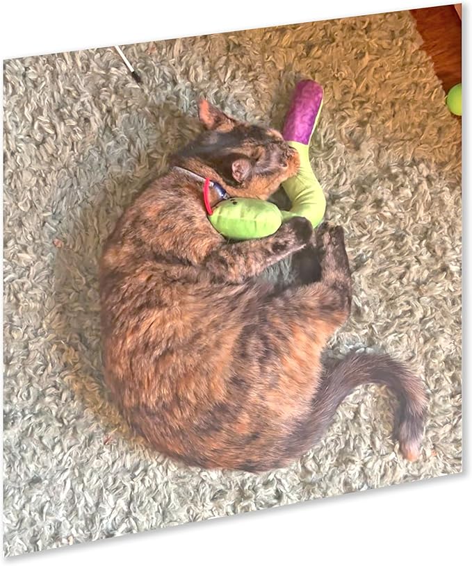 ZOOMIE Snake Kicker - Refillable Catnip Toy + Catnip | High Potency Hand Harvested Fresh | Soft Plush for Engaging Play