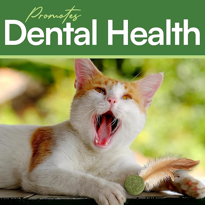 3 Pcs Catnip Balls with Feathers – Natural Catnip Toy for Play, Stress Relief & Healthy Enrichment Interactive Cat Toys Perfect for Indoor Cats & Kittens, Encourages Active Play & Wellness