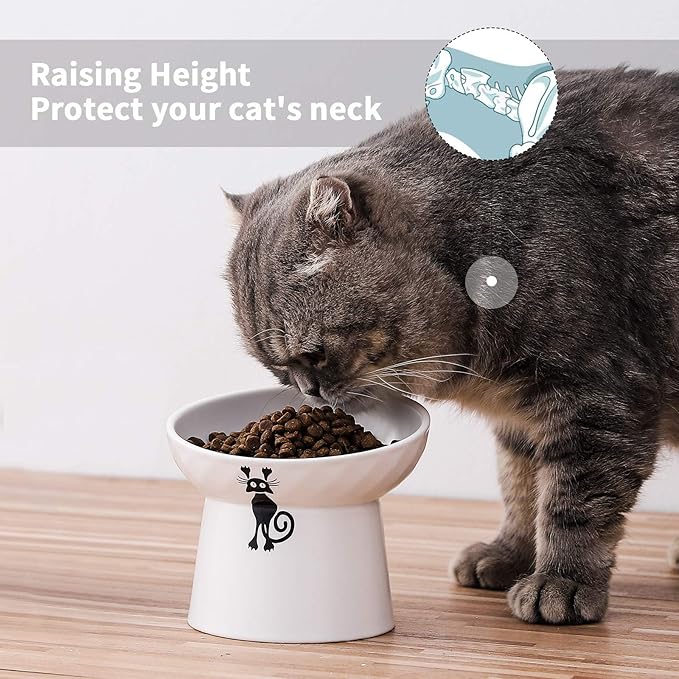 OMAYKEY Ceramic Raised Cat Bowls, Tilted Elevated Cat Food and Water Bowls Set, Porcelain Stress Free Pet Feeder Bowl Dish for Cats and Small Dogs, Dishwasher and Microwave Safe - White, Set of 2